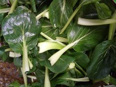 -小陆莲花蟹园农家乐(莲花岛店)