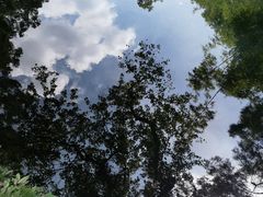 -广州兰圃