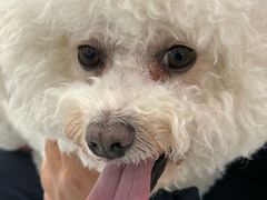 -纳吉亚猫专科动物诊疗中心(蒋宅口分院)