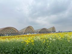 -中国天府农业博览园