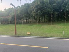 -洨河生态公园