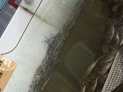 -金滏山烤肉·海鲜·火锅自助餐厅(襄阳万达店)