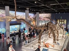 -国家自然博物馆