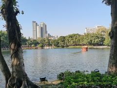 -荔湾湖公园