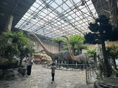 -国家自然博物馆