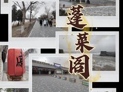 -蓬莱阁景区