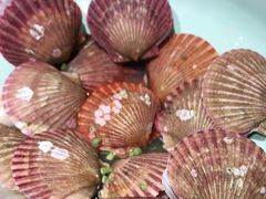 -永红源啤酒·烧烤·海鲜·大排档(青特城店)