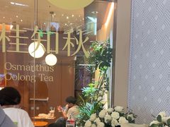 -奈雪的茶(石家庄万象城店)