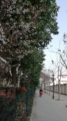 点击看大图 -小阿福儿童摄影(摩尔城店)