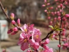 -元大都城垣遗址公园