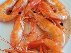 -东莞塘厦三正半山温泉酒店·沙利文西餐厅