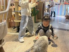 -小时光咖啡馆(开森度假森林店)