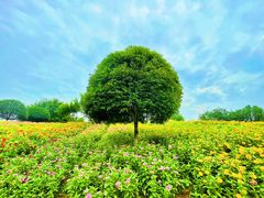 -孔雀湖生态旅游区