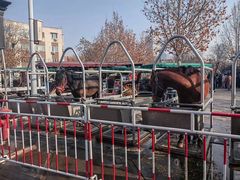 -天津五大道文化旅游区