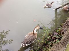 iphone_upload_pic-溱湖国家湿地公园