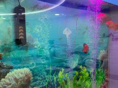 -雅悦齿科(顾村公园店)