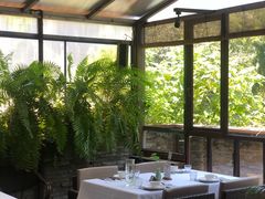 -野蔓果·山野菜(西湖景区·龙井茶田店)