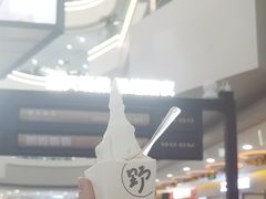 -野人先生Gelato(上海长宁龙之梦店)