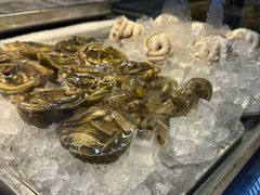 -铭聚章鱼土笋冻(松柏店)