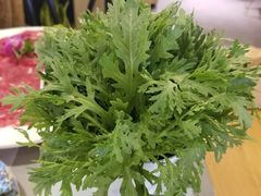 茼蒿-雾都渣渣火锅(南城智汇城店)