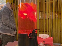 -树洞桌游宠咖小酒馆