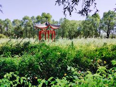 -北京麋鹿生态实验中心