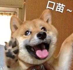 -UPTOP鼎上造型