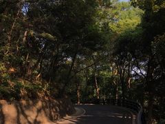 -广州市帽峰山景区