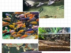 -太平洋海底世界