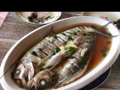 -云河农家乐饭店(福禄缘树山店)