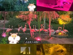 -无锡动物园·太湖欢乐园