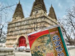 -北京石刻艺术博物馆(五塔寺)