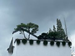 -龙华素斋(龙华路店)