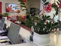 -聊城口腔医院