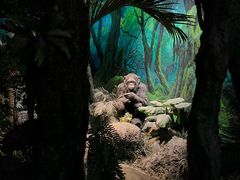 -国家自然博物馆