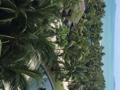 三亚湾海居铂尔曼度假酒店-三亚湾海居铂尔曼度假酒店