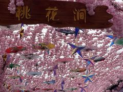 -洋湖国家湿地公园