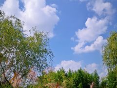 -梁鸿国家湿地公园