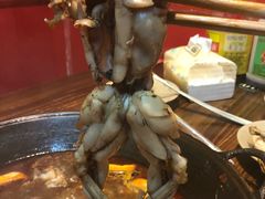 -老天桥蛙炉火锅(姑苏总店)