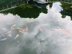 -凤凰山公园-龙王古庙