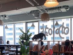 -Cappucimeow猫咪咖啡馆(韦伯时代店)