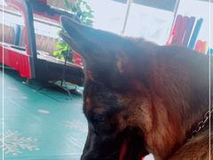 -KingBull私教健身&格斗订制(龙井商业中心店)