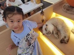 -喵园·猫主题咖啡厅·撸猫·猫咖(国贸店)