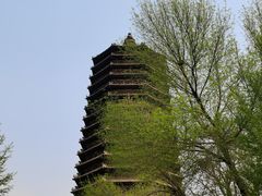 -玲珑塔公园
