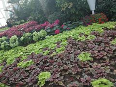 -石家庄市植物园