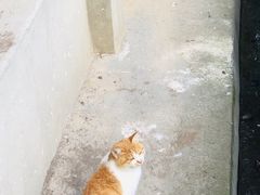 -玉华宫景区