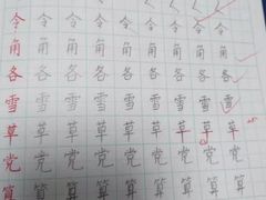 -赵汝飞练字硬笔书法(航头校区)