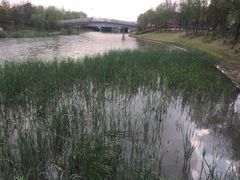 -南翔镇银翔湖公园