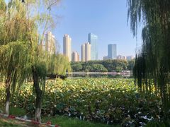 -后襄河公园