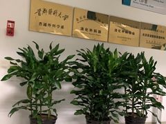 -首都医科大学附属北京友谊医院(西城院区)